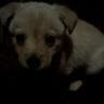 Cindy Tharp Photo 10