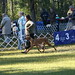 Denise Flaim Photo 8