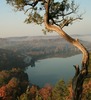 Debbie Blanchard Photo 10