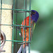 Debra Deters Photo 6