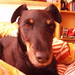 Judy Betts Photo 19