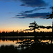 Clark Meadows Photo 3