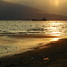 Susan Jeffers Photo 3