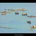 Thai Tran Photo 25