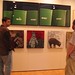 Jason Fisch Photo 16