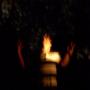 Andrew Gunter Photo 10