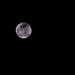 Larry Moon Photo 14