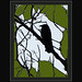 Edgar Crow Photo 5