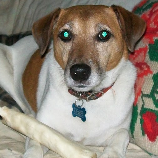 Linda Hardy Photo 35