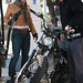 Carey Hart Photo 17