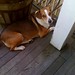 Russell Mack Photo 12