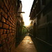 Teresa Alley Photo 13