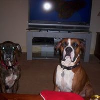 Debbie Brice Photo 6