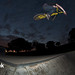 Karl Sutton Photo 8