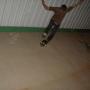 Heriberto Robles Photo 21