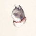 Sarah Mcneil Photo 13