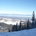 Kimberley Snow Photo 6