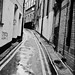 Leonard Lane Photo 5