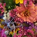 Janice Sheehan Photo 32