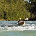 Dianne Turner Photo 29