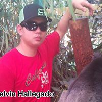 Melvin Fernandez Photo 5