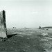 Mitchell Stone Photo 13