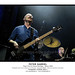 Peter Levins Photo 11