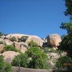 Heather Kopas Photo 1