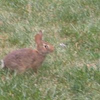 John Barney Photo 26