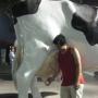 John Hoang Photo 18
