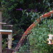 Cherie Lewis Photo 5