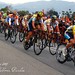 Ned Armstrong Photo 22