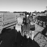 Carolyn Morey Photo 9