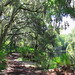 Peggy Parks Photo 35