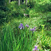 Mary Farley Photo 13