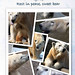 Debby Fisher Photo 21