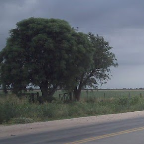 Sandra Arrieta Photo 9