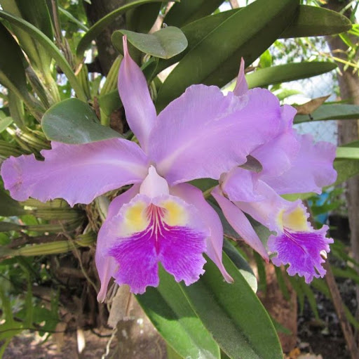 Mary Santos Photo 36