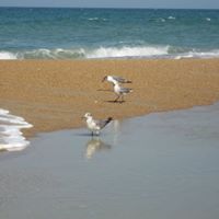 Nancy Fleck Photo 21