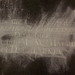 Elizabeth Copeland Photo 19