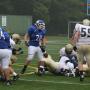 Joe Shepherd Photo 26