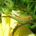 Mark White Photo 15