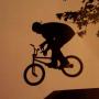Carl Morris Photo 8