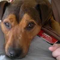 Marshall Webber Photo 13