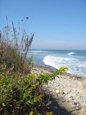 Cynthia Flores Photo 11