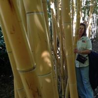 Cathy Robison Photo 17