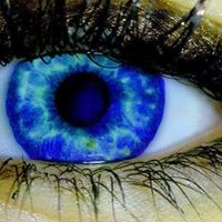 Dawn Shea Photo 14