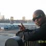Stephen Mills Photo 47