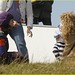 Mandy George Photo 20