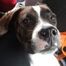Jessica Hartz Photo 22